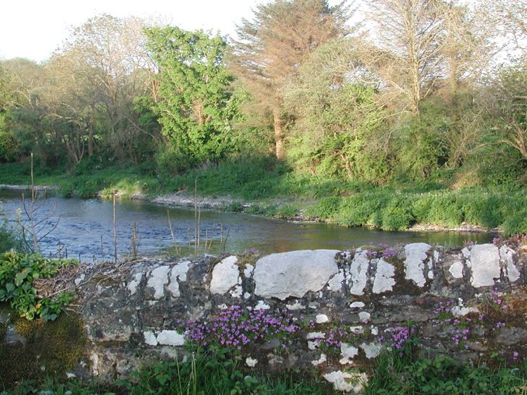 Bandon River 9 A1.jpg 552.3K